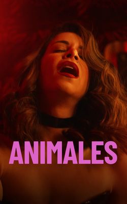 Animals-HD