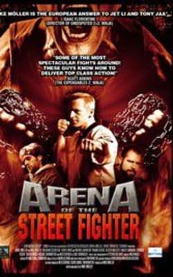 Arena of the Street Fighter