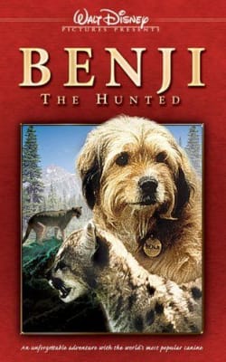 Benji The Hunted