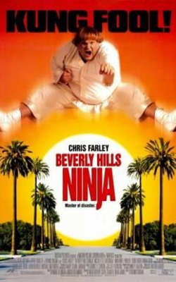 Beverly Hills Ninja