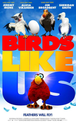 Birds Like Us