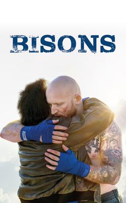 Bisons-HD