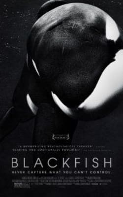 Blackfish