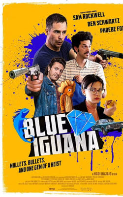 Blue Iguana