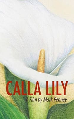 Calla Lily