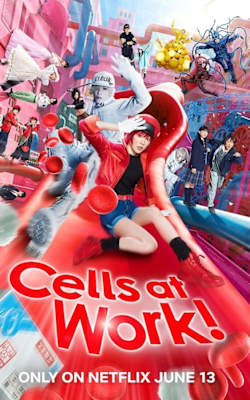 Cells at Work!