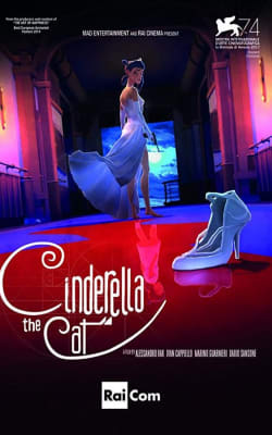 Cinderella the Cat