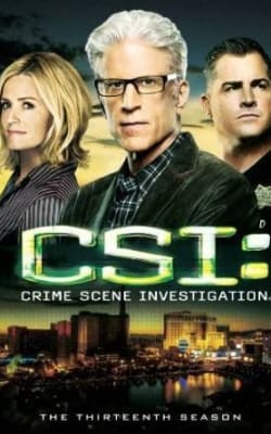 CSI - Season 11