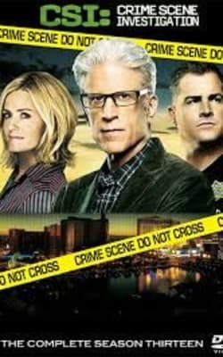 CSI - Season 13