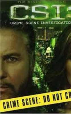 CSI - Season 7