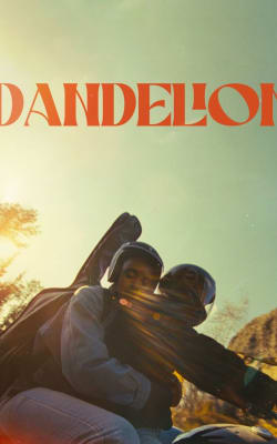 Dandelion Dandelion-HD