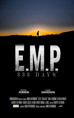 EMP 333 Days