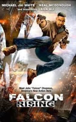 Falcon Rising