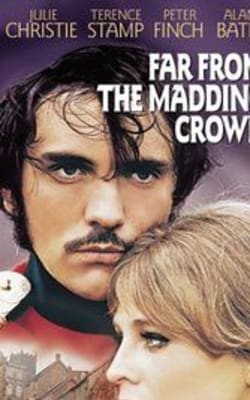 Far from the Madding Crowd (1967)