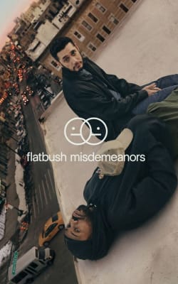 Flatbush Misdemeanors - Season 2