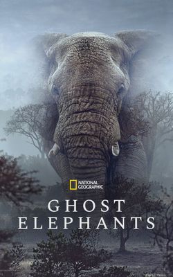 Ghost Elephants-HD
