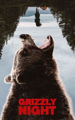 Grizzly Night-HD