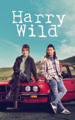 Harry Wild - Season 4-HD