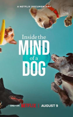 Inside the Mind of a Dog