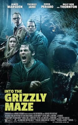 Into the Grizzly Maze