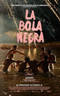 La bola negra-HD
