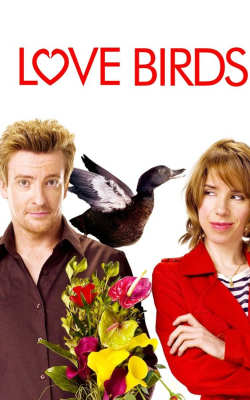 Love Birds-HD