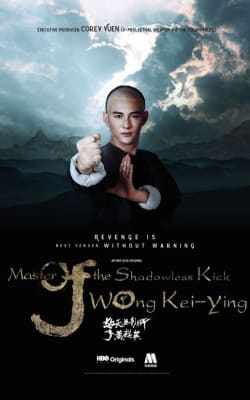 Master Of The Shadowless Kick: Wong Kei-Ying