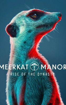 Meerkat Manor: Rise of the Dynasty - Season 1