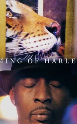 Ming of Harlem: Twenty One Storeys in the Air