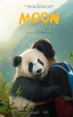 Moon The Panda Moon The Panda-HD