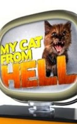 My Cat From Hell - Season 8
