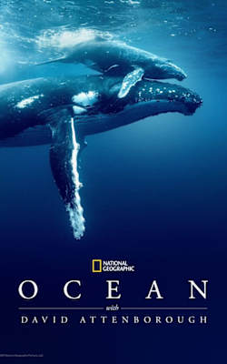 Ocean with David Attenborough Ocean with David Attenborough