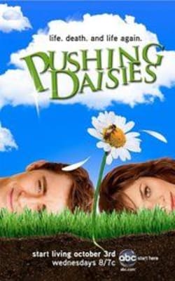 Pushing Daisies - Season 1