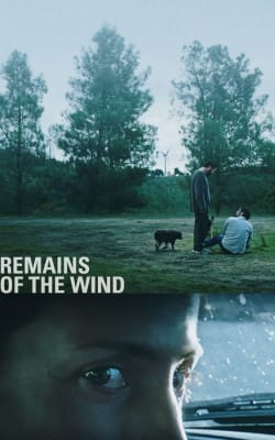 Remains of the Wind Remains of the Wind-HD