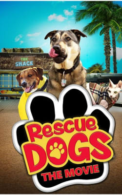 Rescue Dogs