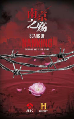 Scars of Nanking