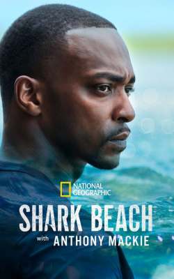 Shark Beach with Anthony Mackie