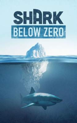 Shark Below Zero