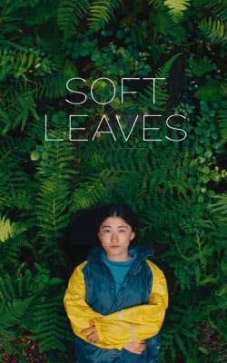 Soft Leaves Soft Leaves-HD