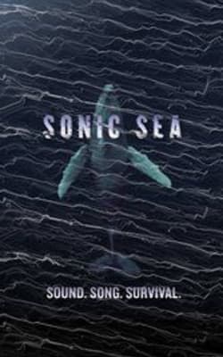 Sonic Sea