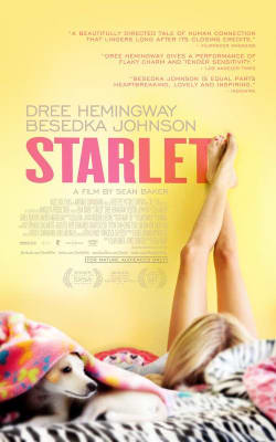 Starlet