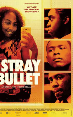 Stray Bullet