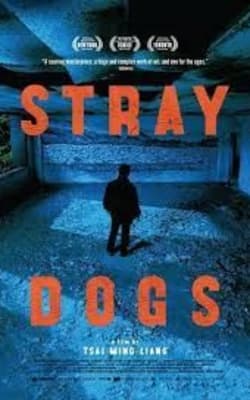 Stray Dogs