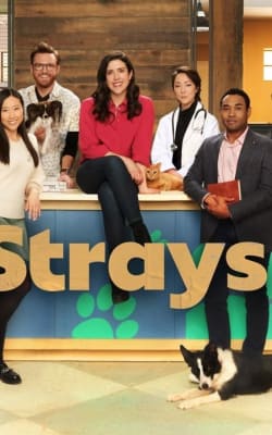 Strays - Season 1