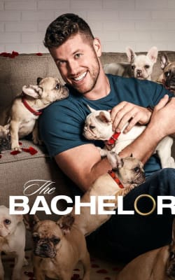 The Bachelor - Season 26
