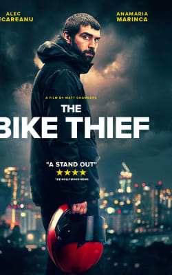 The Bike Thief