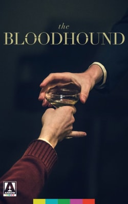 The Bloodhound