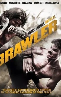 The Brawler