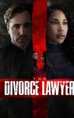 The Divorce Lawyer The Divorce Lawyer
