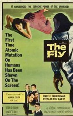 The Fly